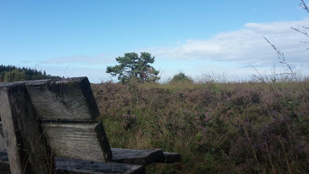 Lasca Schoonoord Buitenkant foto