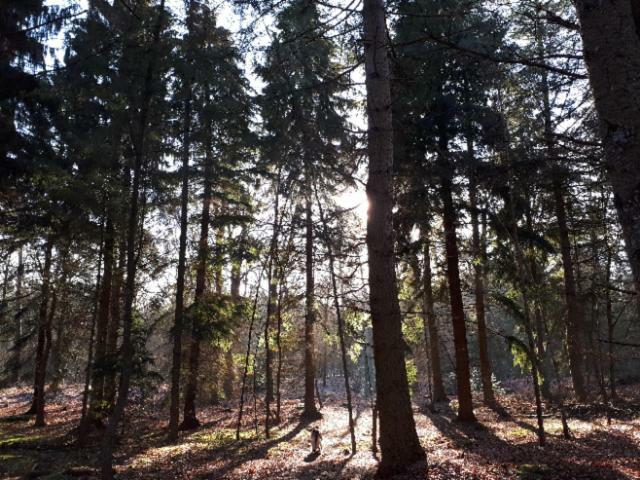 Lasca Schoonoord Buitenkant foto